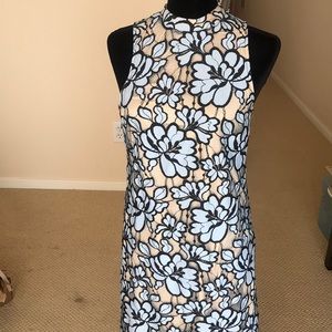 Anthropologie Lace Dress